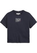 Timeless Tommy T-Shirt Desert Sky 74