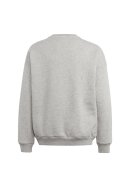 Sweatshirt Medium Grey Heather / White 128