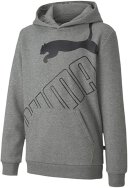 Sweatshirt mit Kapuze Grau 116