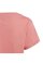 TREFOIL T-Shirt Pink 122