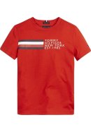 Global Stripe Graphic T-Shirt
