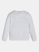 Sweatshirt True White 92