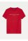 Essential T-Shirt Deep Crimson 74