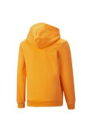 Essential 2 Color Big Logo Sweatshirt Tangerine 104